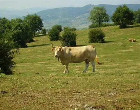 Zikoinaren Txokoa *