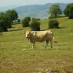 Zikoinaren Txokoa *
