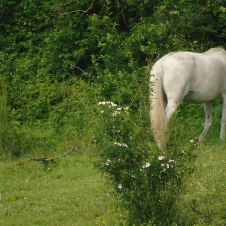 Zikoinaren Txokoa Holiday home