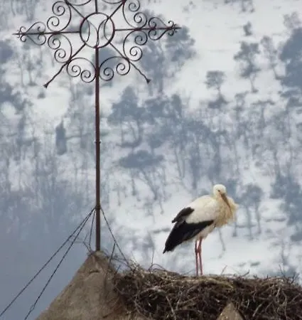 Zikoinaren Txokoa Orduna