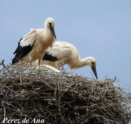 Zikoinaren Txokoa Holiday home Orduna