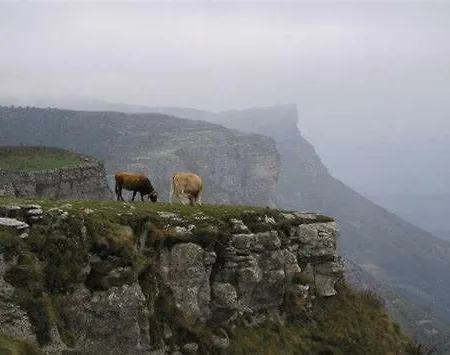 Zikoinaren Txokoa Nyaraló *