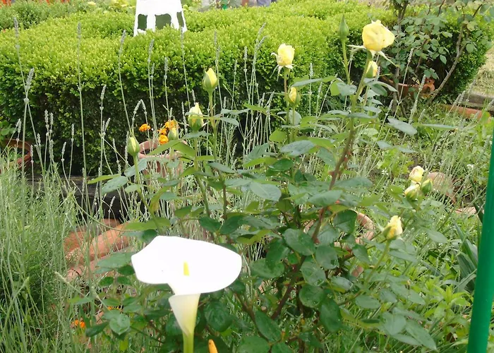 Holiday home Zikoinaren Txokoa