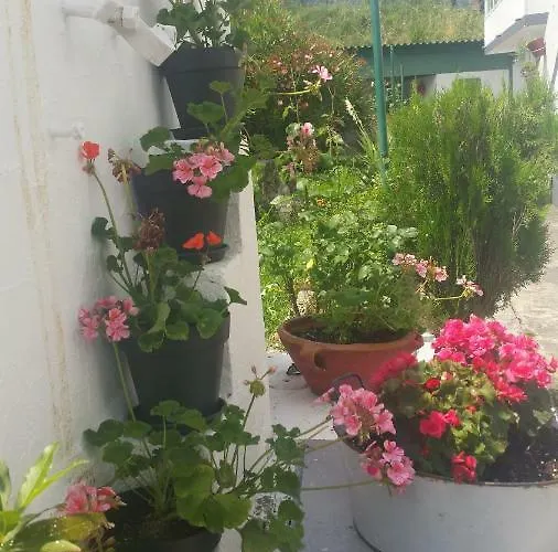 Zikoinaren Txokoa Orduna